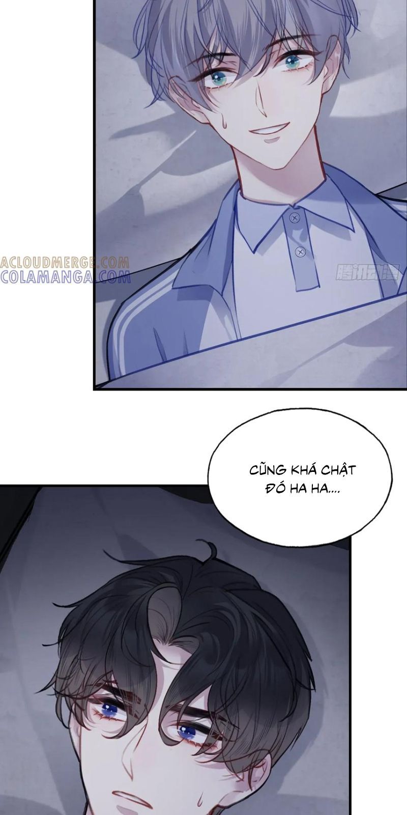 Anh Ấy Chưa Từng Rơi Xuống Chap 136 - Next Chap 137