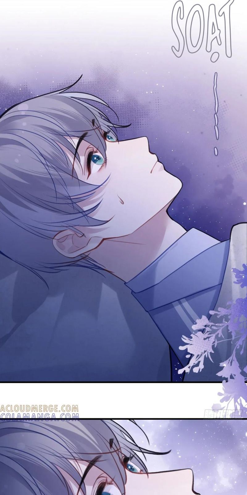 Anh Ấy Chưa Từng Rơi Xuống Chap 136 - Next Chap 137