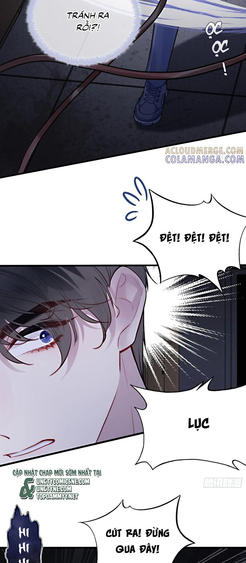 Anh Ấy Chưa Từng Rơi Xuống Chap 137 - Next Chap 138