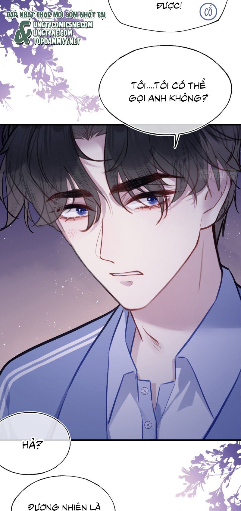 Anh Ấy Chưa Từng Rơi Xuống Chap 138 - Next Chap 139