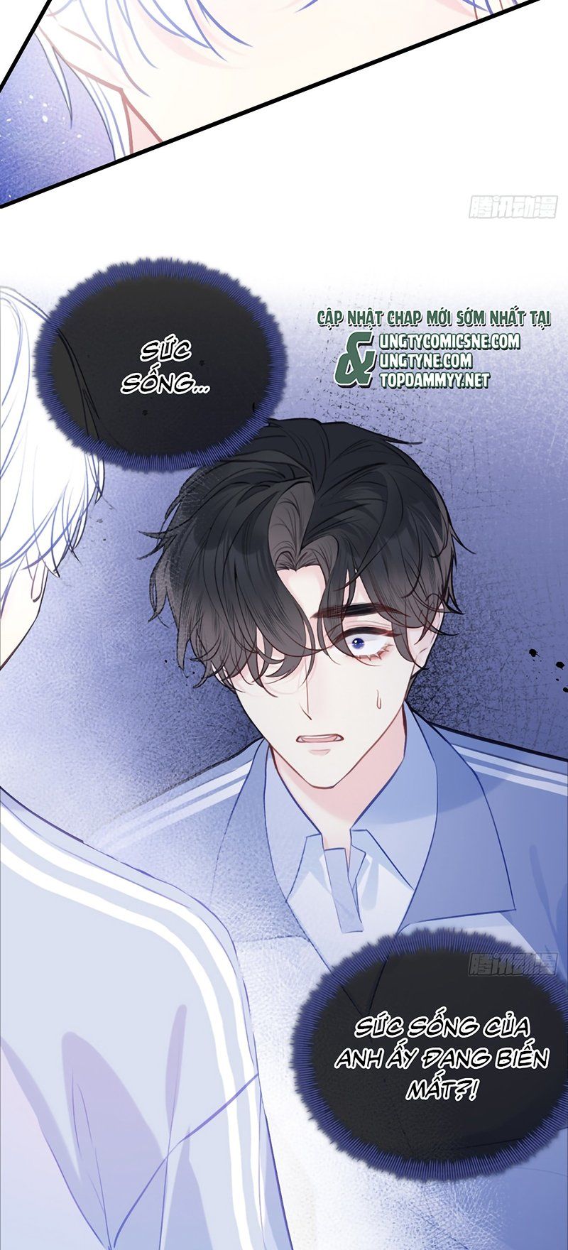 Anh Ấy Chưa Từng Rơi Xuống Chap 143 - Next Chap 144