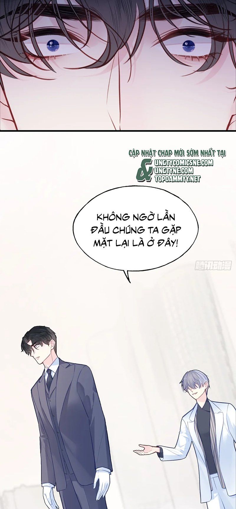 Anh Ấy Chưa Từng Rơi Xuống Chap 145 - Next Chap 146