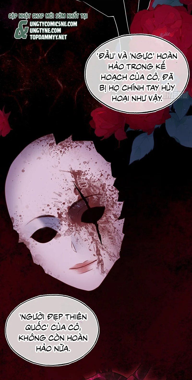 Anh Ấy Chưa Từng Rơi Xuống Chap 146 - Next Chap 147