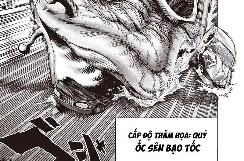 Anh Hùng Onepunch Chap 295 - Next Chap 296