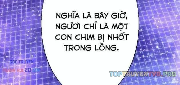 Anh Hùng Tái Xuất Học Viện Chap 42 - Next Chap 43