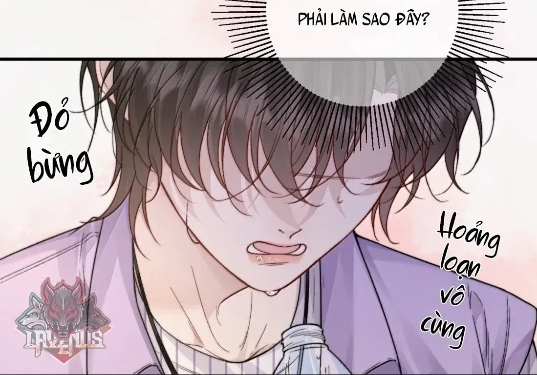 Ảnh Riêng Tư Chap 81 - Next Chap 82