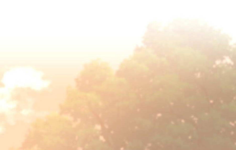 Ánh Sáng Cuối Con Đường Chap 129 - Next Chap 130