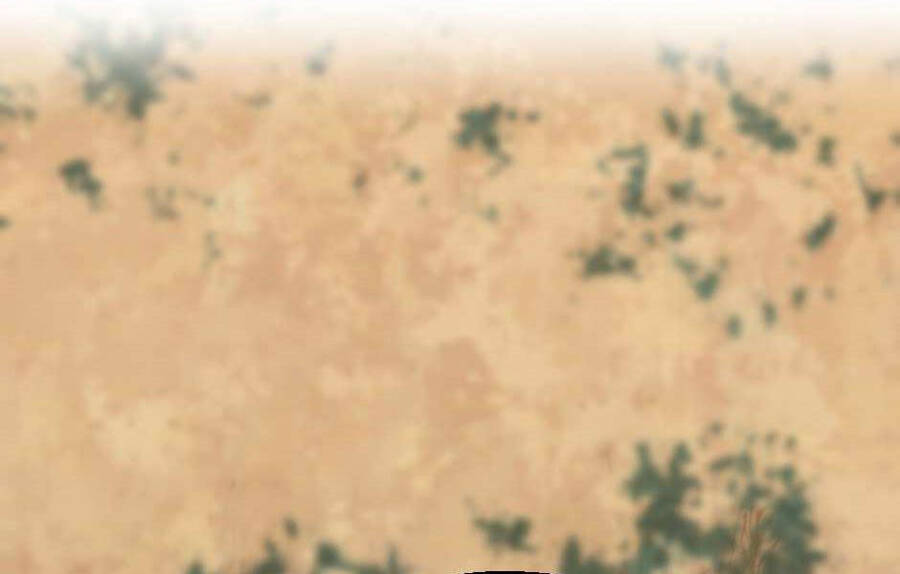 Ánh Sáng Cuối Con Đường Chap 129 - Next Chap 130