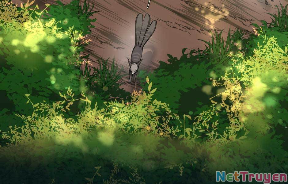 Ánh Sáng Cuối Con Đường Chap 155 - Next Chap 156