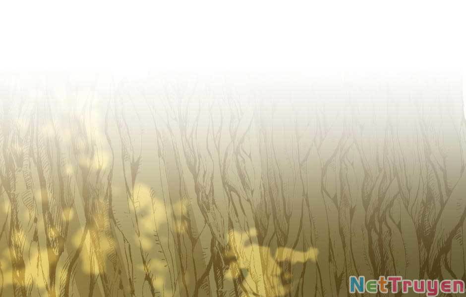 Ánh Sáng Cuối Con Đường Chap 155 - Next Chap 156