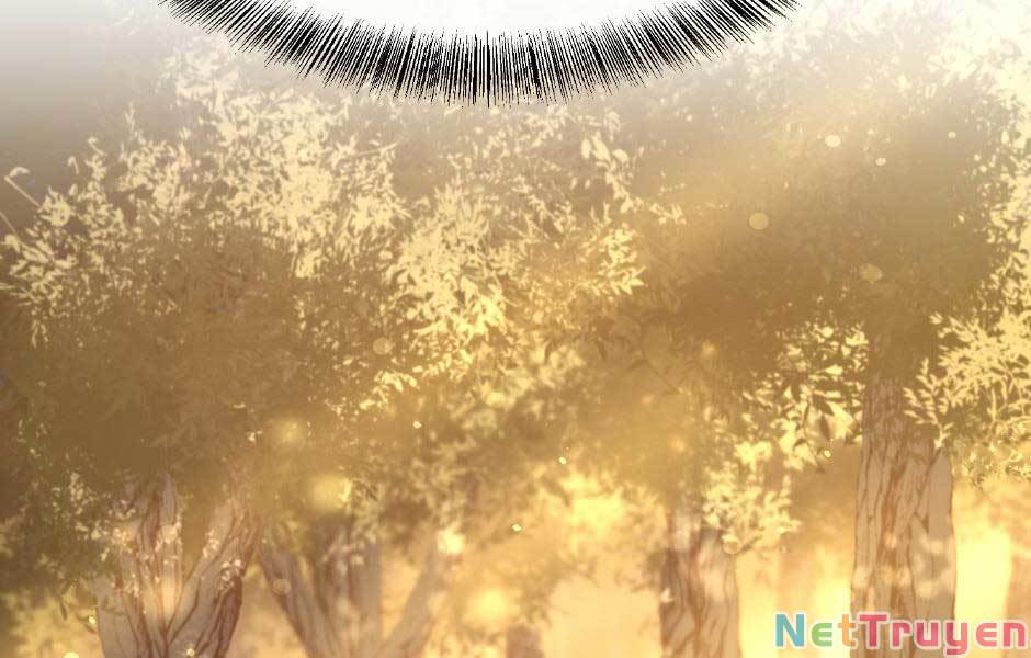 Ánh Sáng Cuối Con Đường Chap 155 - Next Chap 156