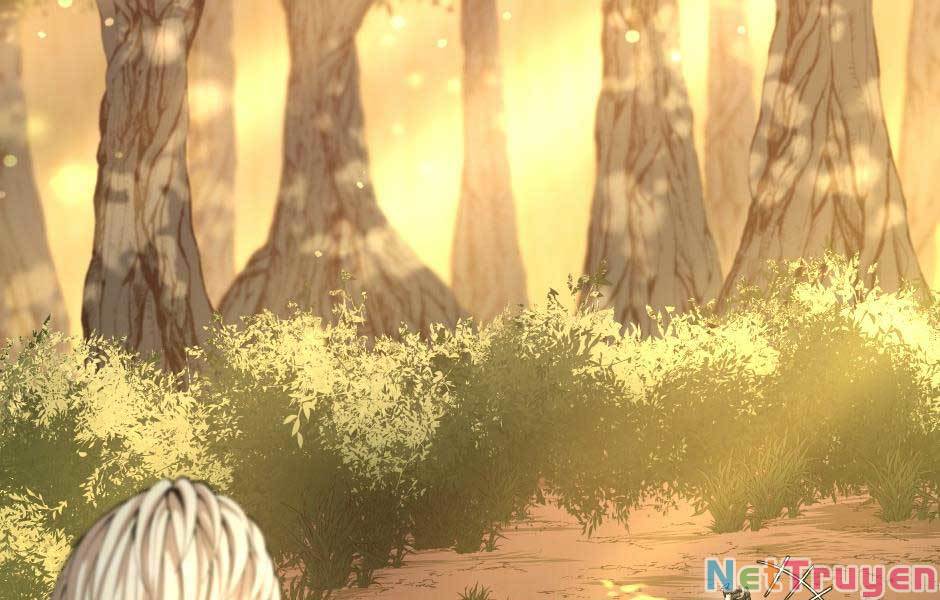 Ánh Sáng Cuối Con Đường Chap 155 - Next Chap 156