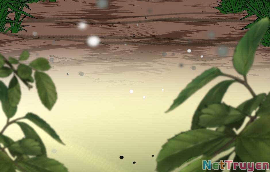 Ánh Sáng Cuối Con Đường Chap 155 - Next Chap 156