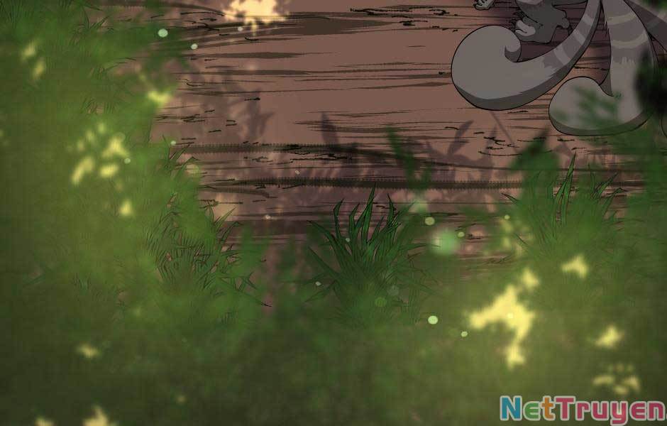 Ánh Sáng Cuối Con Đường Chap 155 - Next Chap 156