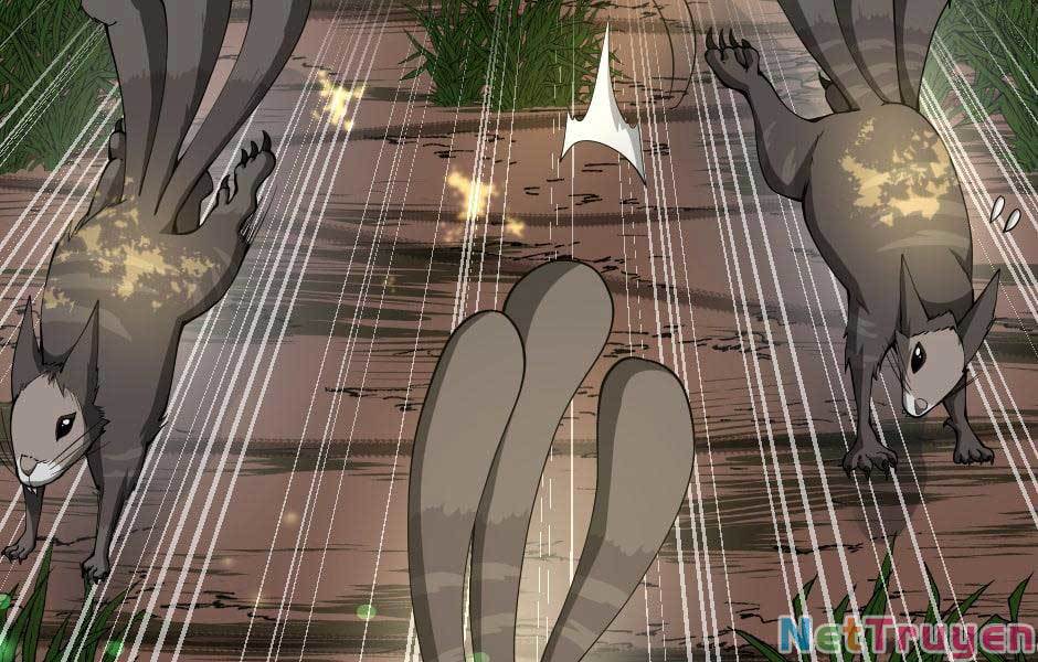 Ánh Sáng Cuối Con Đường Chap 155 - Next Chap 156