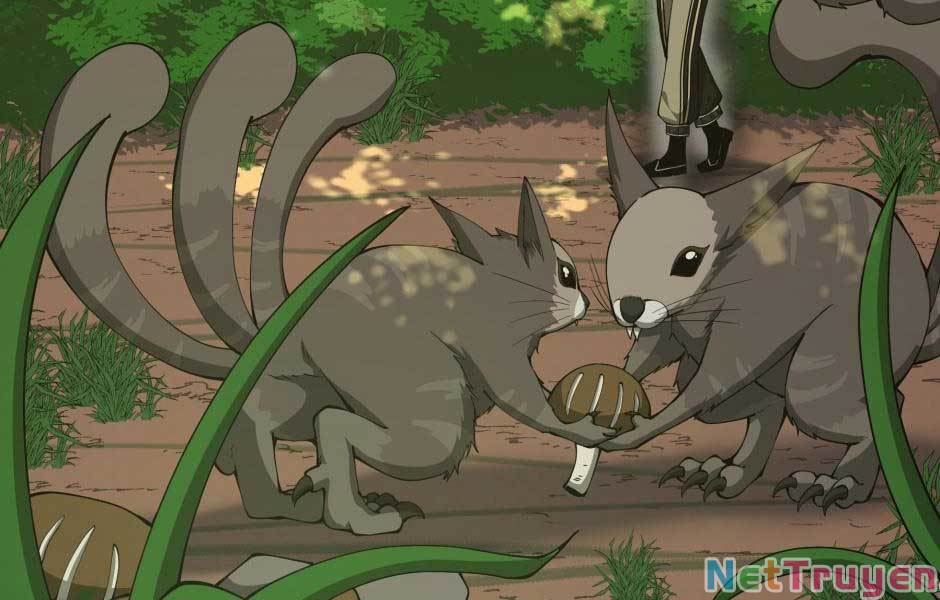 Ánh Sáng Cuối Con Đường Chap 155 - Next Chap 156