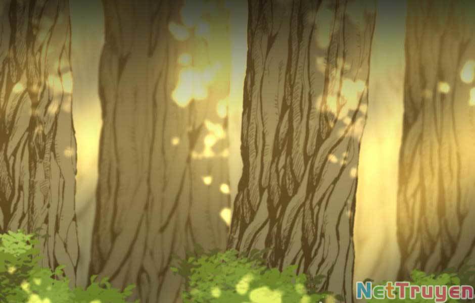 Ánh Sáng Cuối Con Đường Chap 155 - Next Chap 156