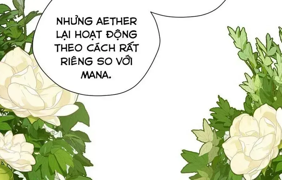 Ánh Sáng Cuối Con Đường Chap 158.5 - Next Chap 159.5