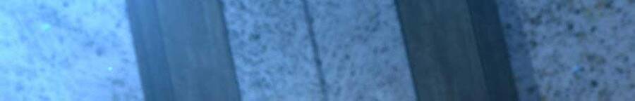 Ánh Sáng Cuối Con Đường Chap 158 - Next Chap 159