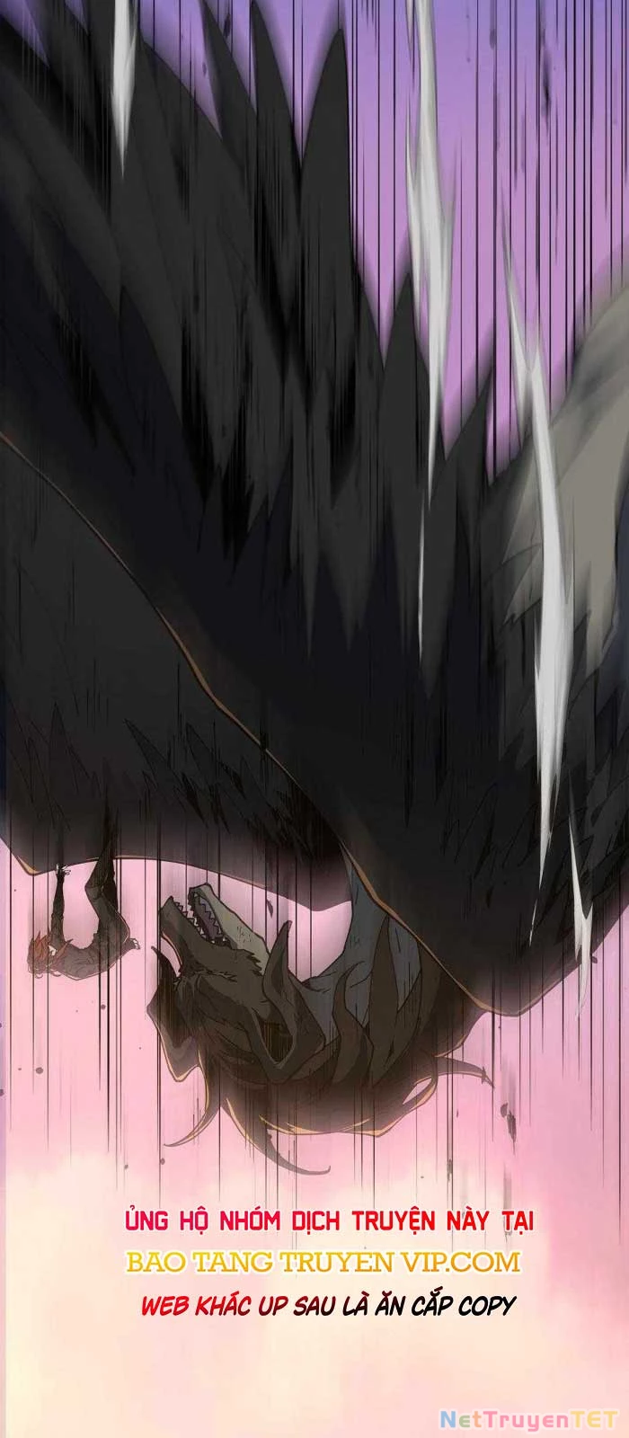 Ánh Sáng Cuối Con Đường Chap 215 - Next Chap 216