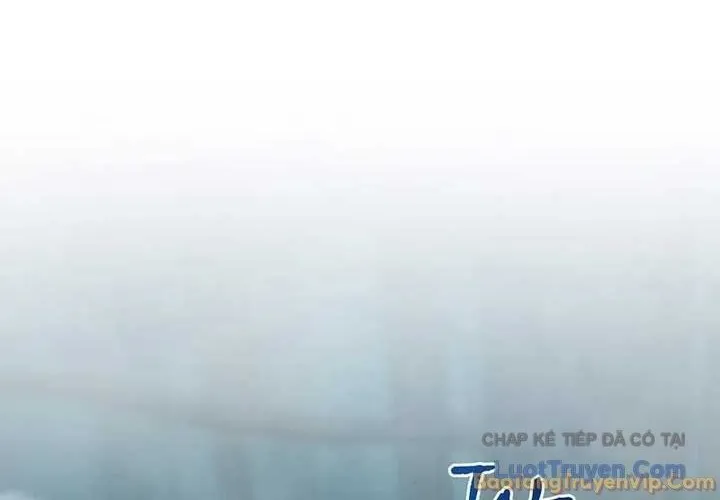 Ánh Sáng Cuối Con Đường Chap 243 - Next Chap 244