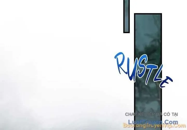 Ánh Sáng Cuối Con Đường Chap 243 - Next Chap 244