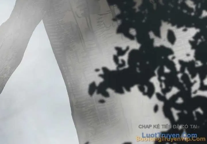 Ánh Sáng Cuối Con Đường Chap 243 - Next Chap 244