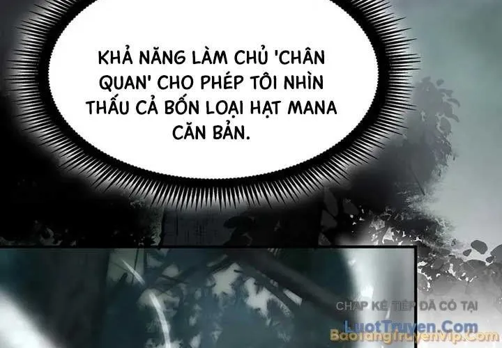 Ánh Sáng Cuối Con Đường Chap 243 - Next Chap 244