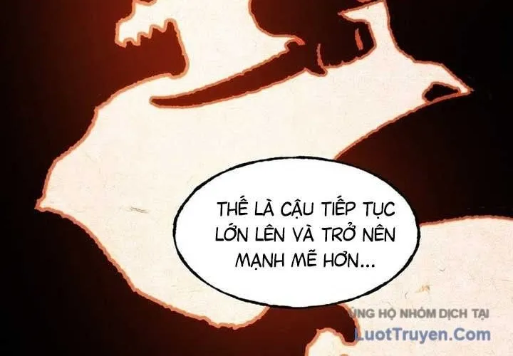 Ánh Sáng Cuối Con Đường Chap 245 - Next Chap 246