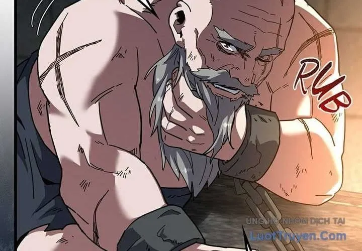 Ánh Sáng Cuối Con Đường Chap 245 - Next Chap 246