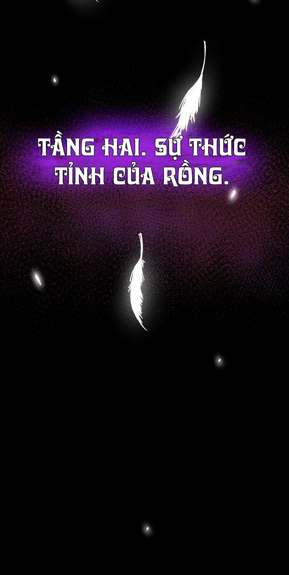 Ánh Sáng Cuối Con Đường Chap 66 - Next Chap 67
