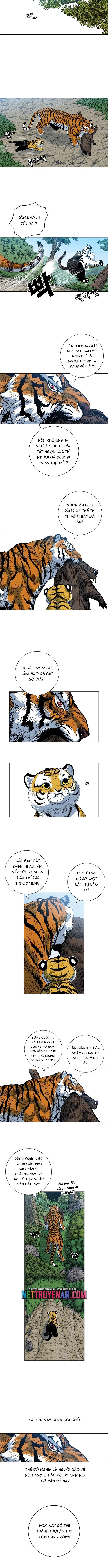 Anh Trai Tôi Là Hổ Chap 101 - Next Chap 102