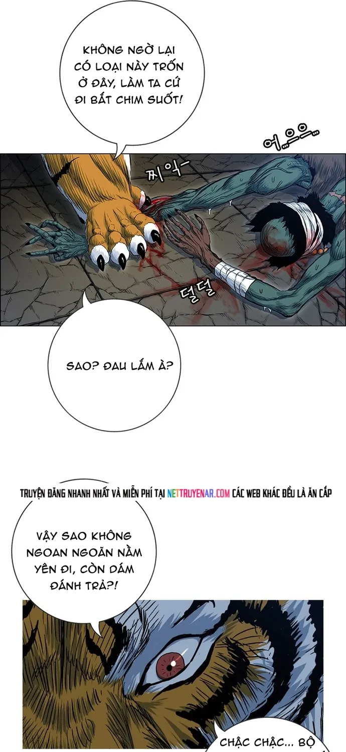 Anh Trai Tôi Là Hổ Chap 137 - Next Chap 138