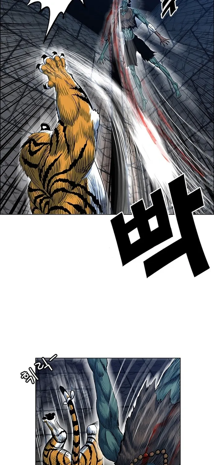 Anh Trai Tôi Là Hổ Chap 137 - Next Chap 138