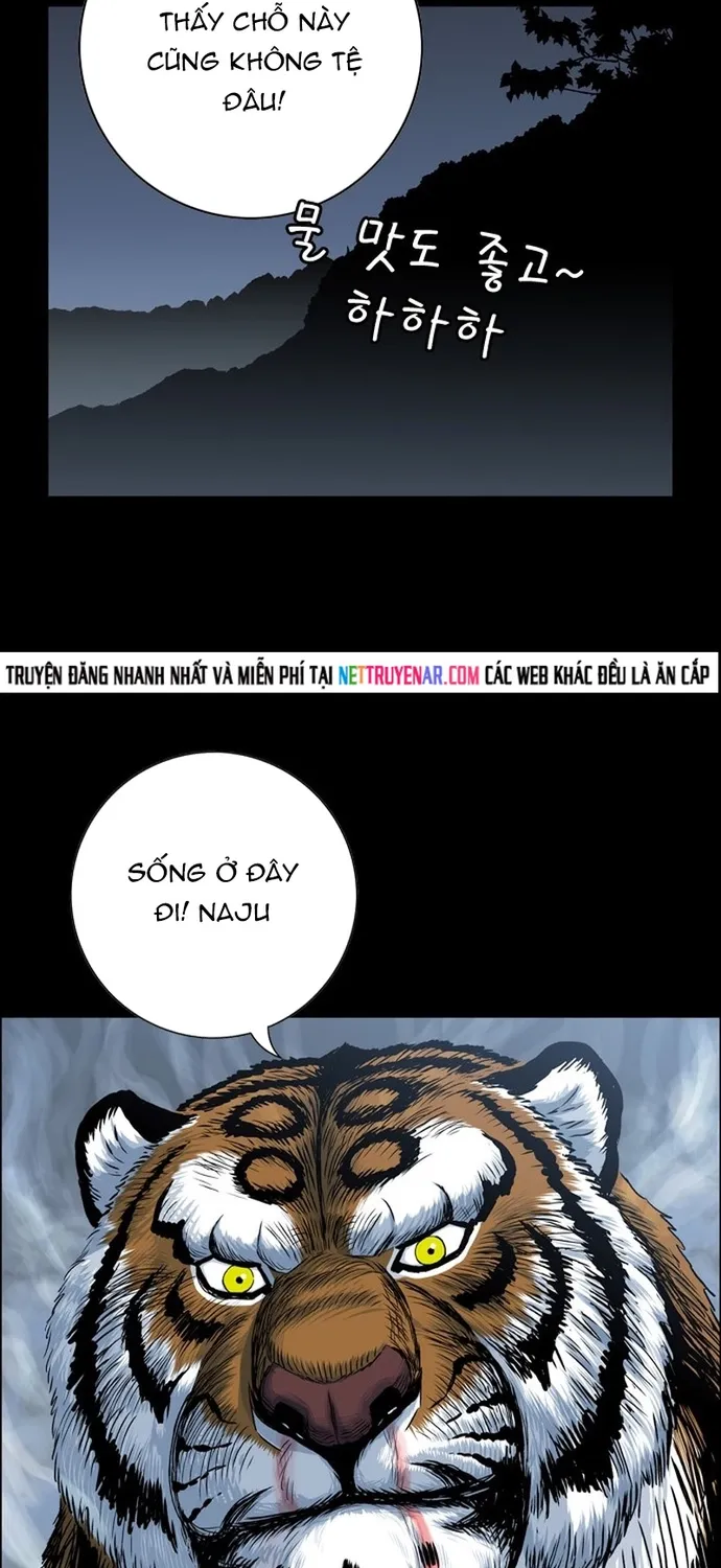 Anh Trai Tôi Là Hổ Chap 143 - Next Chap 144