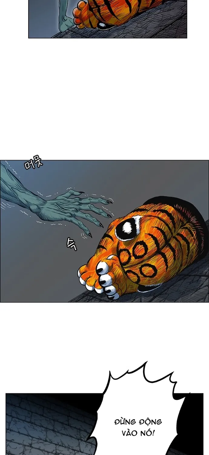 Anh Trai Tôi Là Hổ Chap 144 - Next Chap 145