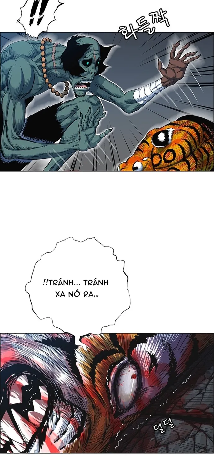 Anh Trai Tôi Là Hổ Chap 144 - Next Chap 145