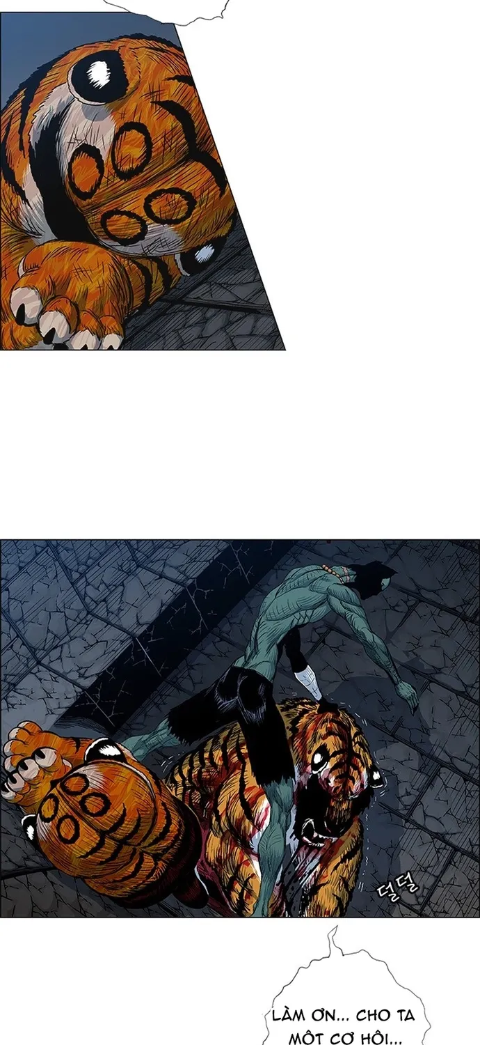 Anh Trai Tôi Là Hổ Chap 144 - Next Chap 145
