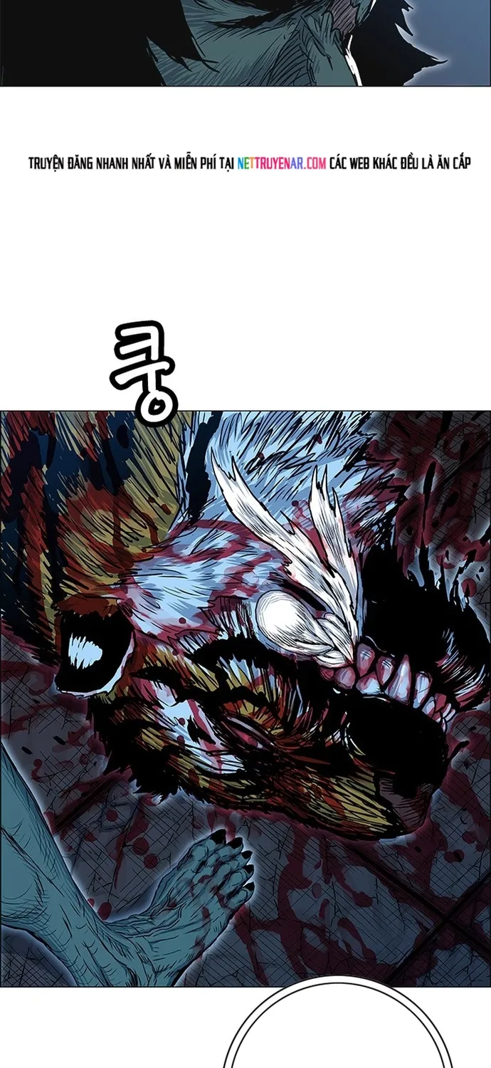 Anh Trai Tôi Là Hổ Chap 144 - Next Chap 145