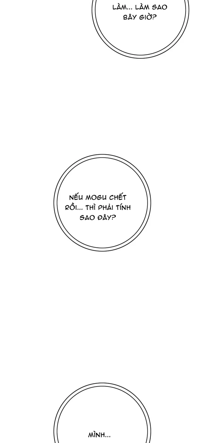 Anh Trai Tôi Là Hổ Chap 144 - Next Chap 145