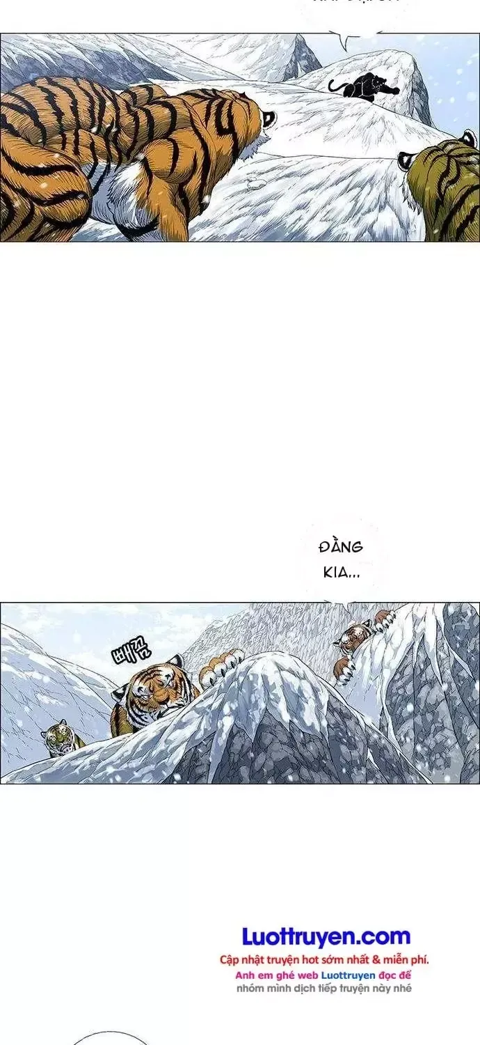 Anh Trai Tôi Là Hổ Chap 300 - Next Chap 301
