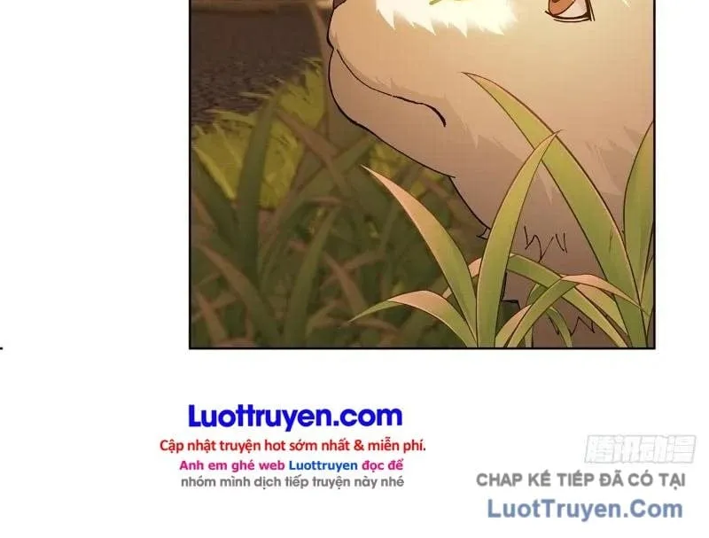 Anh Trai Tôi Là Một Con Chó Điên Chap 2 - Next Chap 3