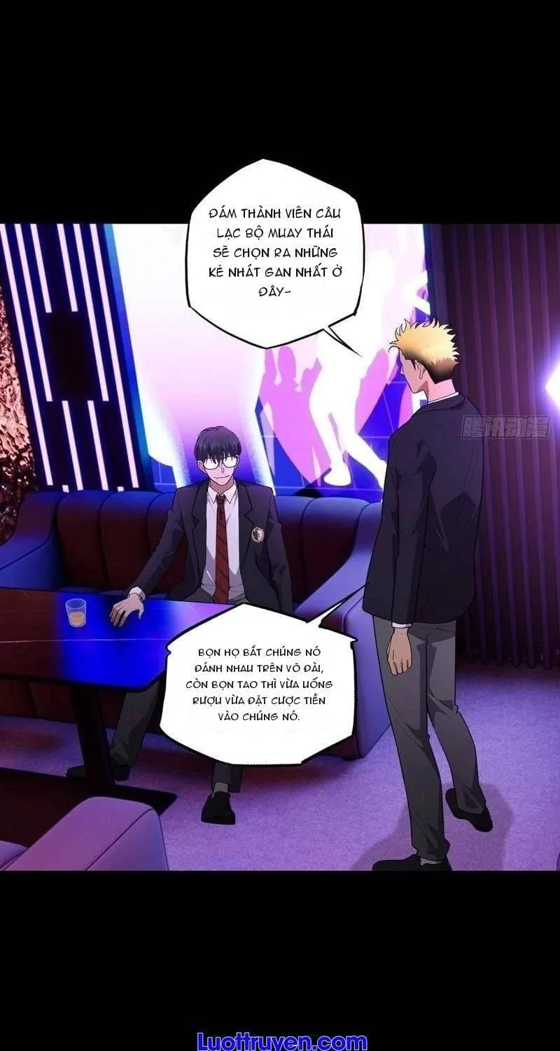 Anh Trai Tôi Là Một Con Chó Điên Chap 40 - Next Chap 41