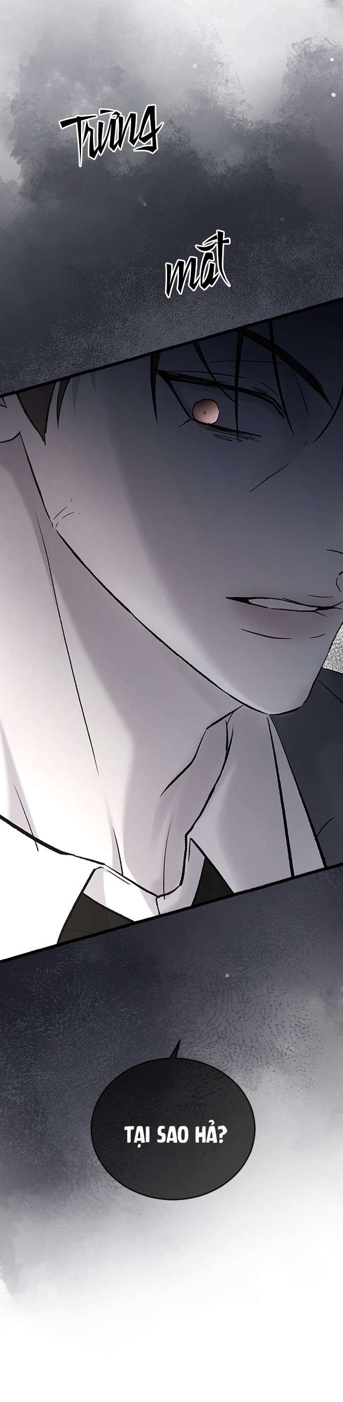 Ba Anh Trai Cực Phẩm Của Tôi Chap 102 - Next Chap 103