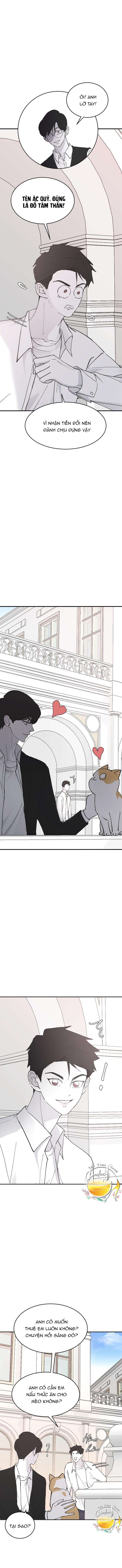 Ba Anh Trai Cực Phẩm Của Tôi Chap 24 - Next Chap 25