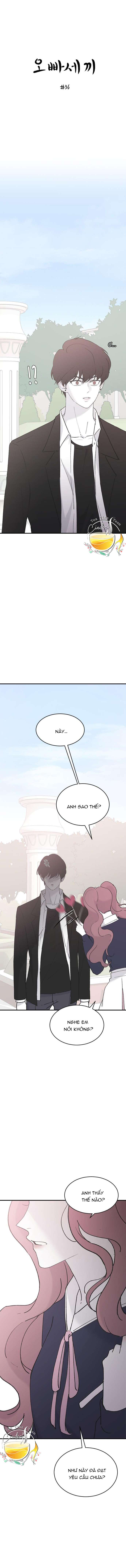 Ba Anh Trai Cực Phẩm Của Tôi Chap 36 - Next Chap 37
