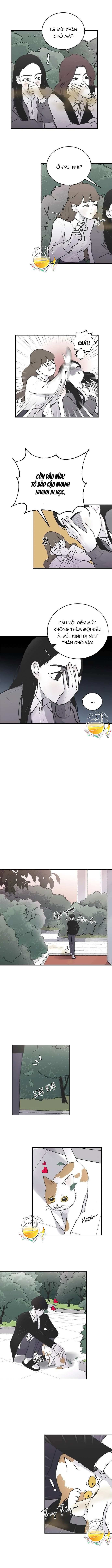 Ba Anh Trai Cực Phẩm Của Tôi Chap 4 - Next Chap 5