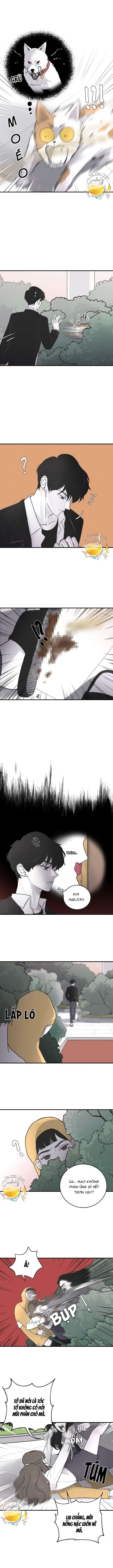 Ba Anh Trai Cực Phẩm Của Tôi Chap 4 - Next Chap 5