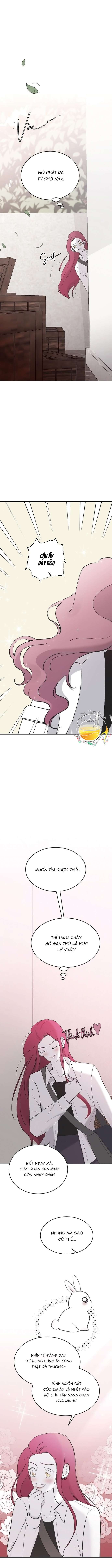 Ba Anh Trai Cực Phẩm Của Tôi Chap 45 - Next Chap 46