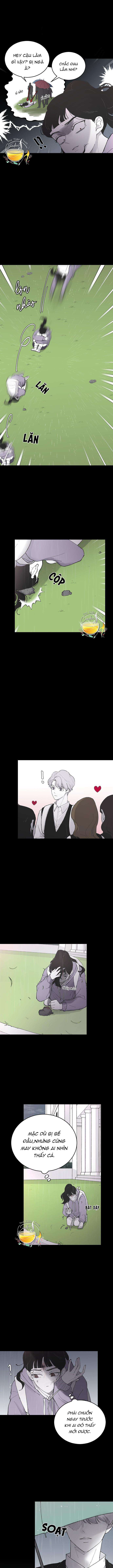 Ba Anh Trai Cực Phẩm Của Tôi Chap 6 - Next Chap 7